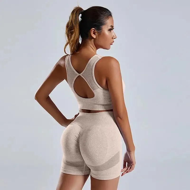 2pcs Yoga Set Women's high waist Vest And Shorts Tracksuit