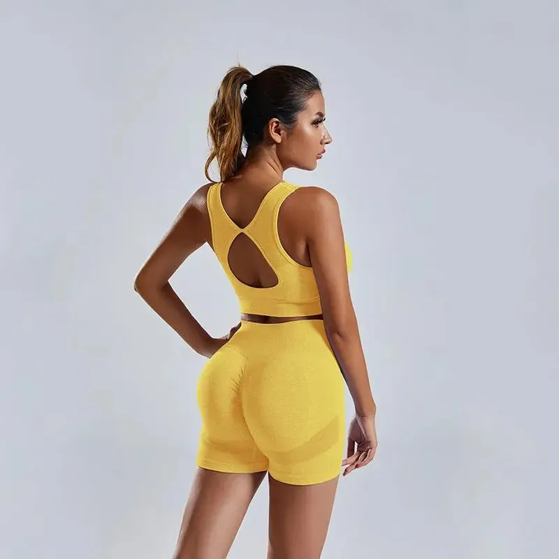 2pcs Yoga Set Women's high waist Vest And Shorts Tracksuit