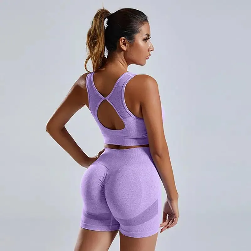 2pcs Yoga Set Women's high waist Vest And Shorts Tracksuit
