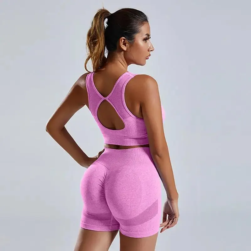 2pcs Yoga Set Women's high waist Vest And Shorts Tracksuit