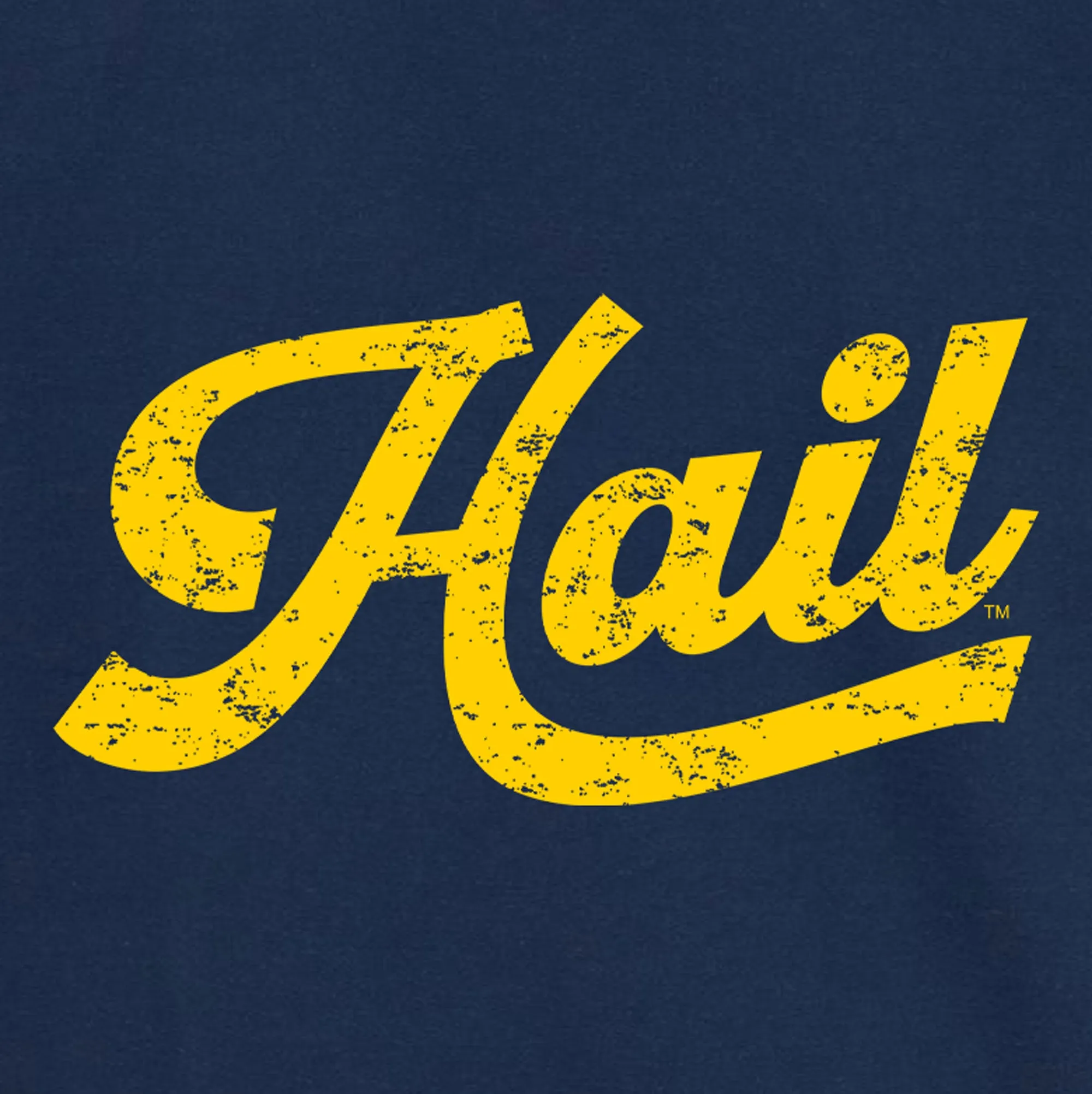 Hail Script Garment-Dyed Hoodie - True Navy
