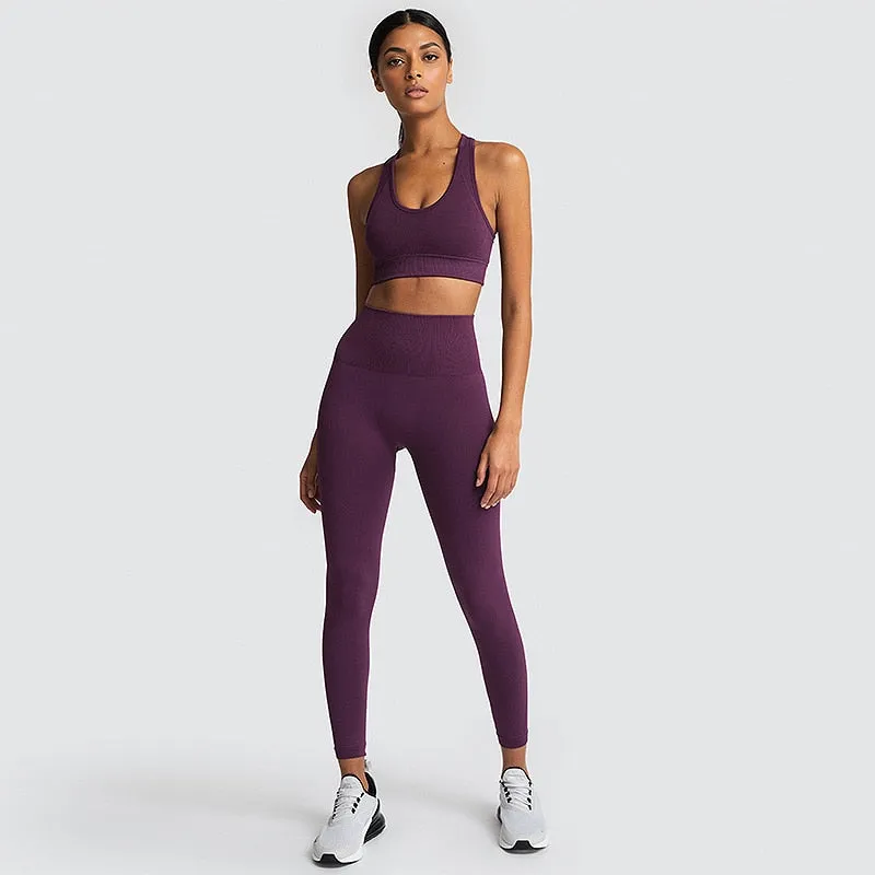 Ladies Gym 2 Piece Set Workout Clothes