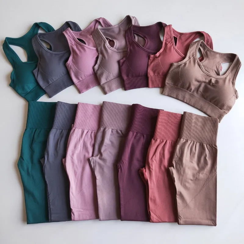 Ladies Gym 2 Piece Set Workout Clothes