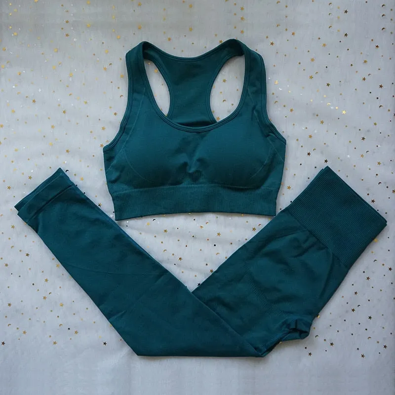 Ladies Gym 2 Piece Set Workout Clothes