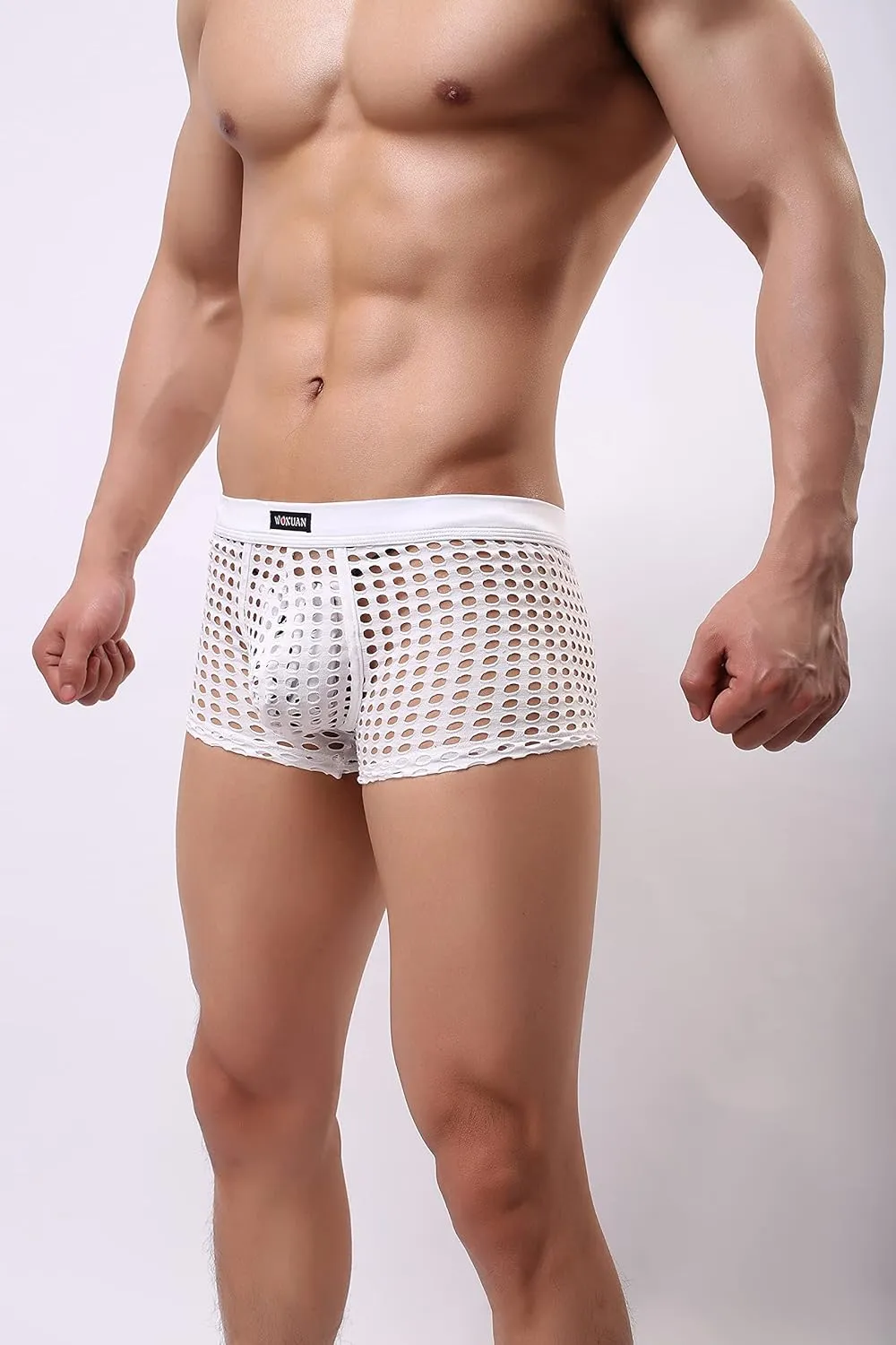 Men's Sexy Underwear Boxer Briefs Mesh Breathable Underpants