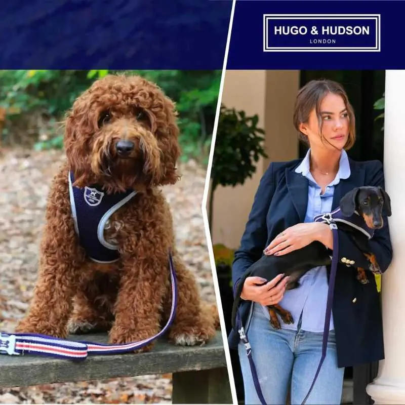 Navy Mesh Dog Harness