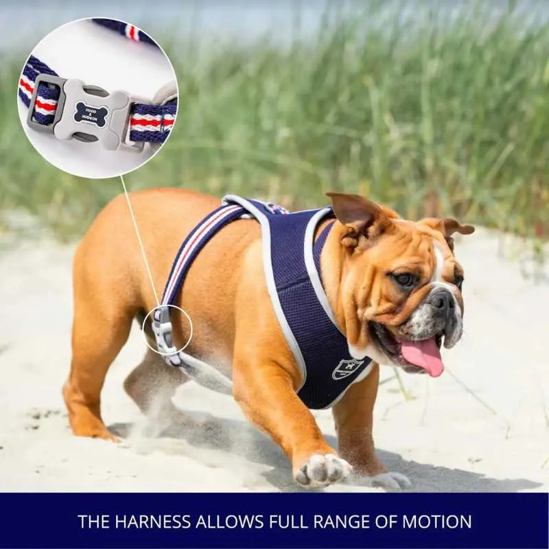 Navy Mesh Dog Harness