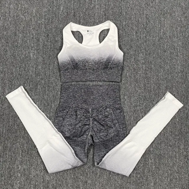 Seamless Black Ombre Padded Sports Bra and Leggings Gym Set