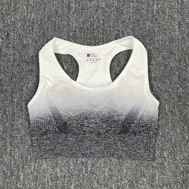 Seamless Black Ombre Padded Sports Bra and Leggings Gym Set