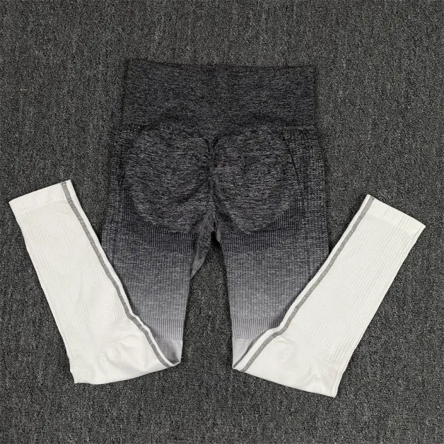 Seamless Black Ombre Padded Sports Bra and Leggings Gym Set