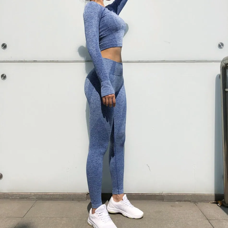 Seamless Gym Clothing Women Gym Yoga Set