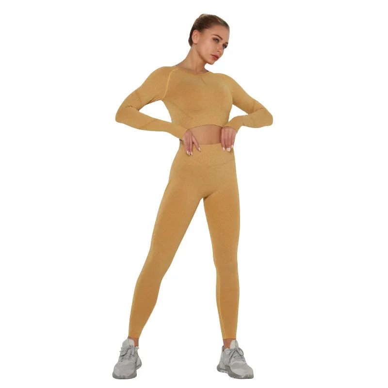 Seamless Yoga Clothing Set