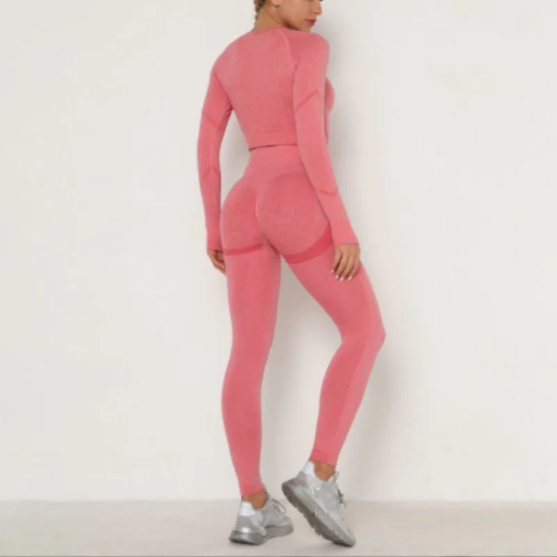 Seamless Yoga Clothing Set