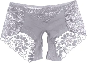 Sexy Lace Sheer Panties for Women Hollow Out Mesh See Through Erotic Briefs Plus Size Valentine Honeymoon Underpant