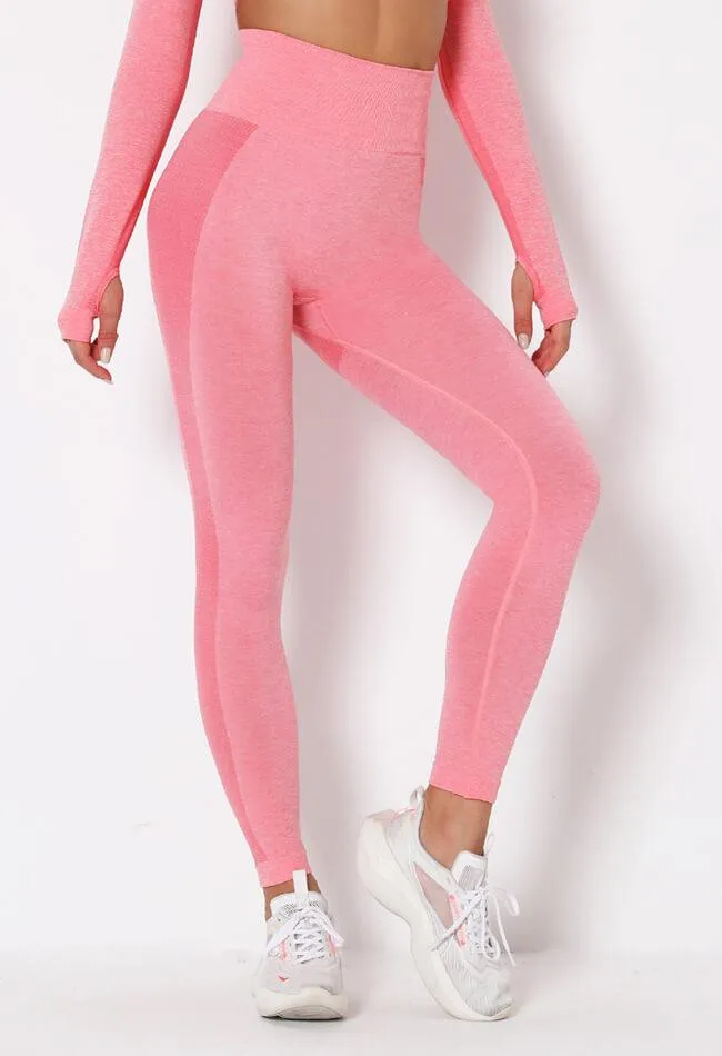 Speed Seamless Legging