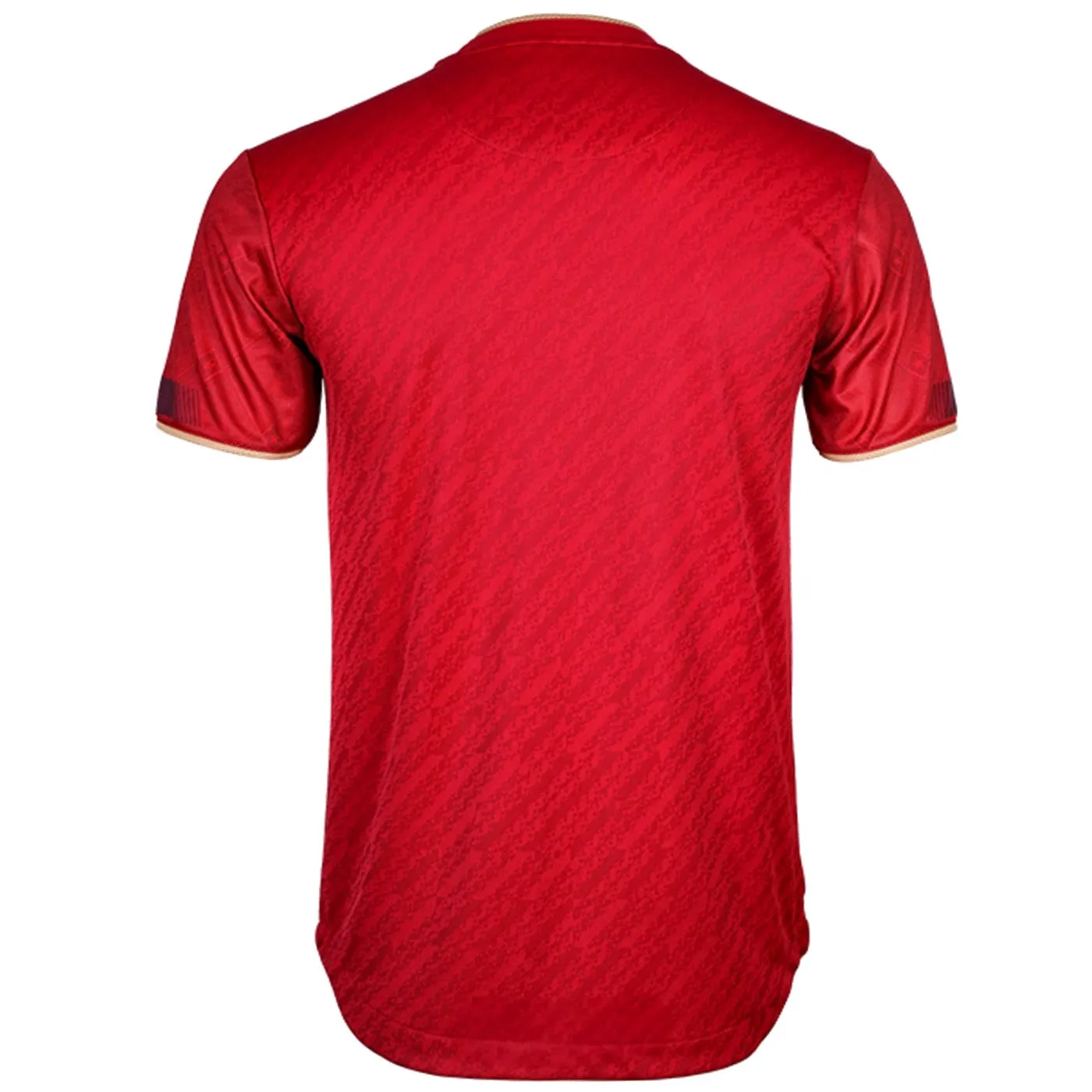 Vietnam national team Home soccer jersey 2023/24 - Grand Sport