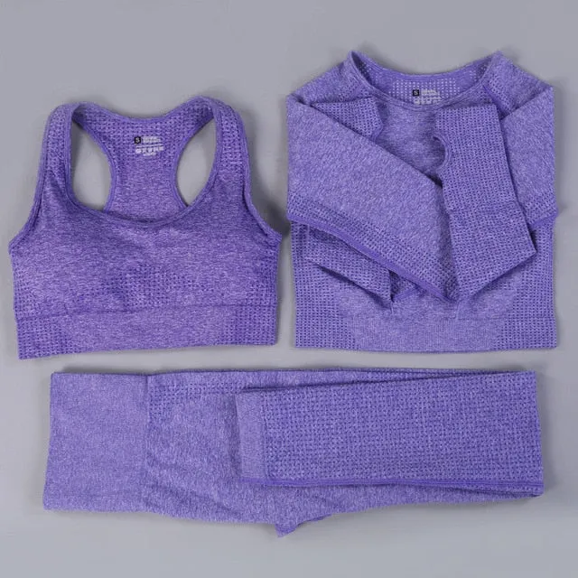 Women Seamless Yoga Set  Gym SportWear  Running  Outwork Clothing Fitness  Long  SLeeve Shirt High Waist Legging Sport Tracksuit