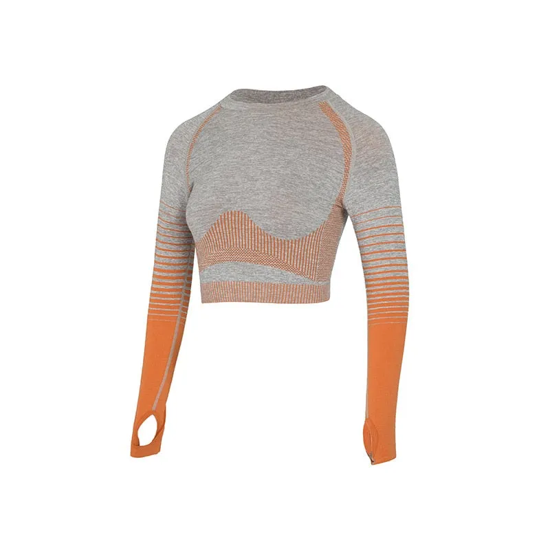 Women's Seamless Gradient Crop Top
