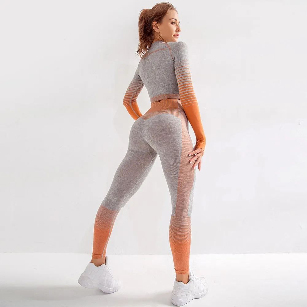 Women's Seamless Gradient Crop Top