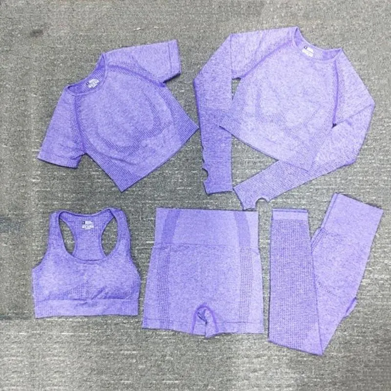 Workout Sportswear Gym Fitness High Waist Seamless Yoga Set