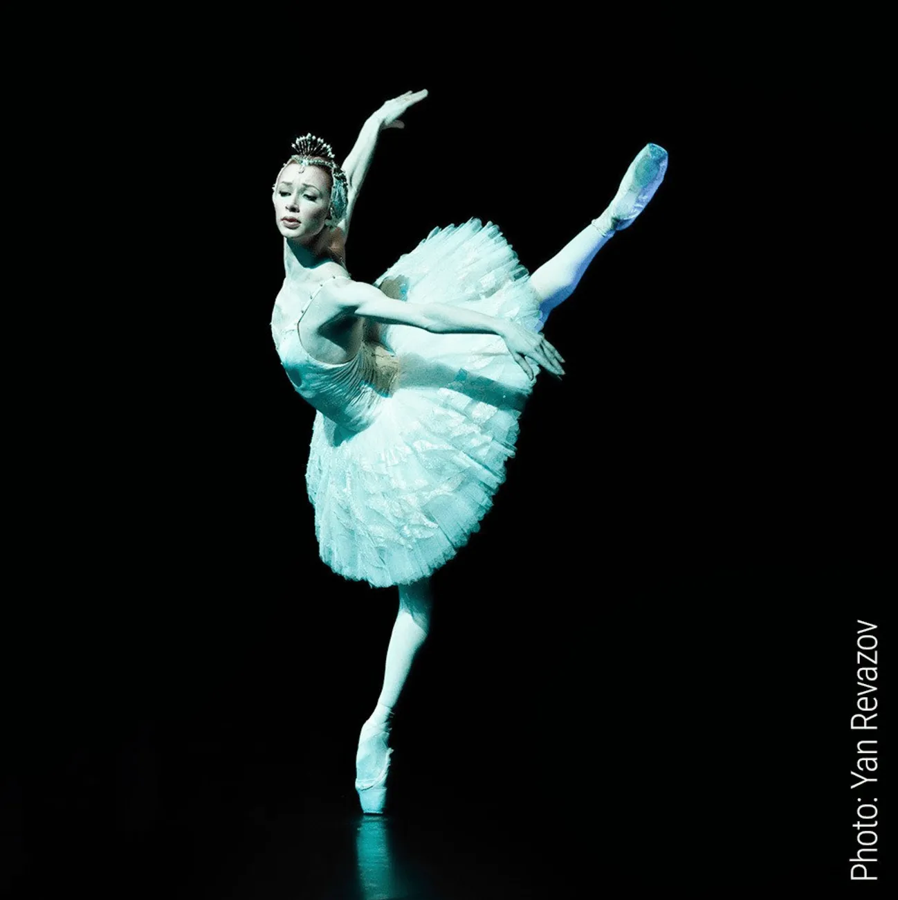 ZARELY Z2NS PERFORM! NO SEAM PROFESSIONAL PERFORMANCE BALLET TIGHTS